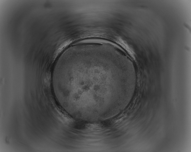 X0000093100107200709261238
