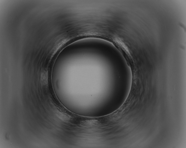 X0000093100108200709261238
