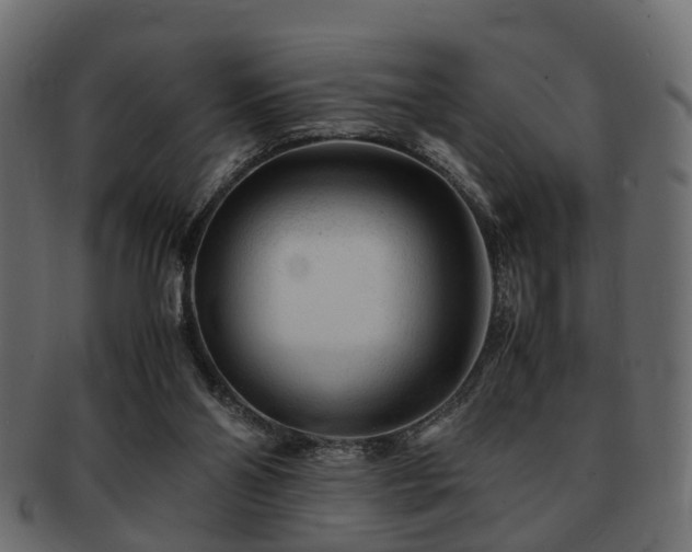 X0000093100110200709261238