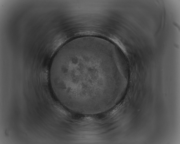 X0000093100111200709261238