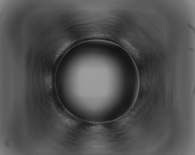 X0000093100112200709261238