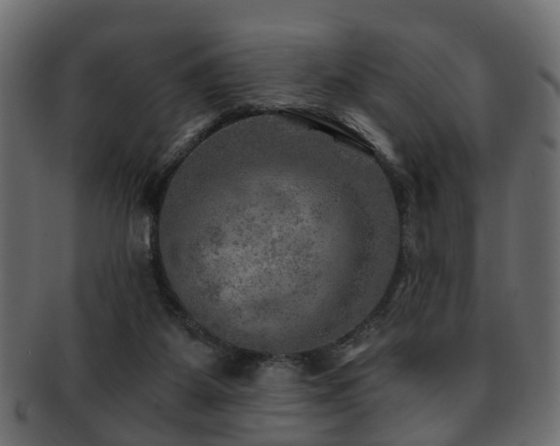 X0000093100115200709261238
