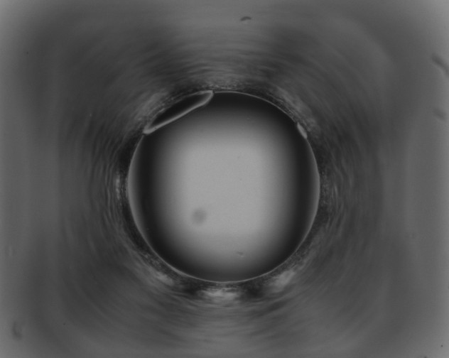 X0000093100117200709261238