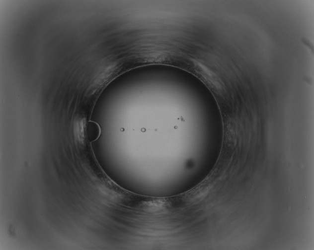 X0000093100118200709261238