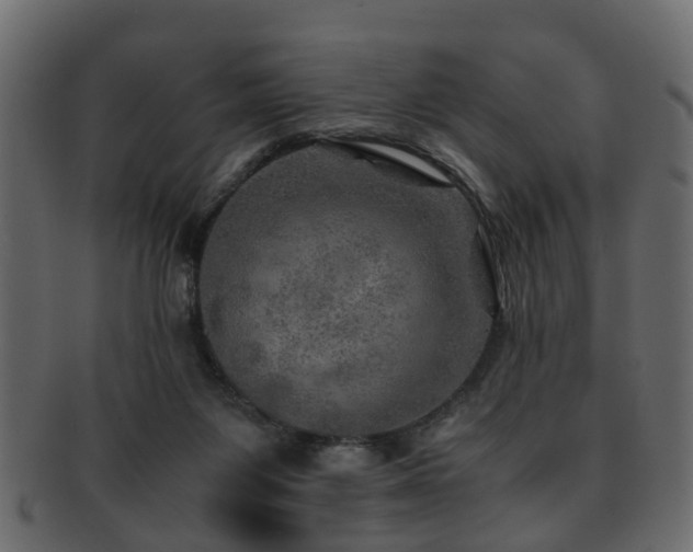 X0000093100119200709261238