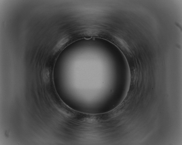 X0000093100120200709261238