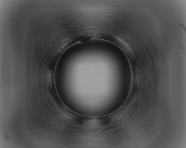 X0000093100121200709261238