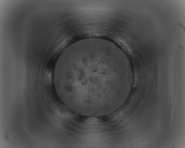 X0000093100123200709261238