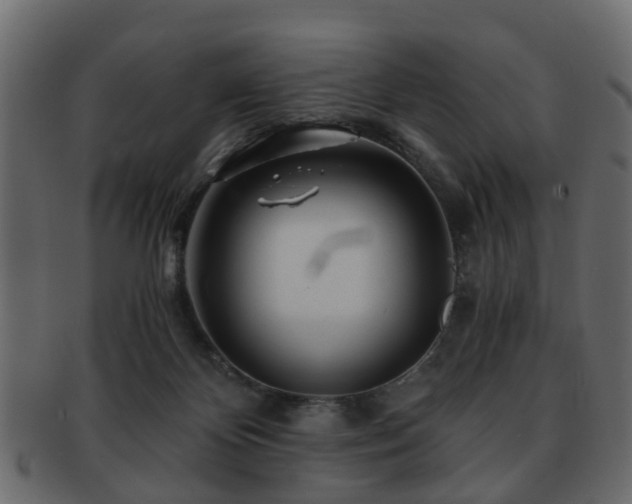 X0000093100124200709261238