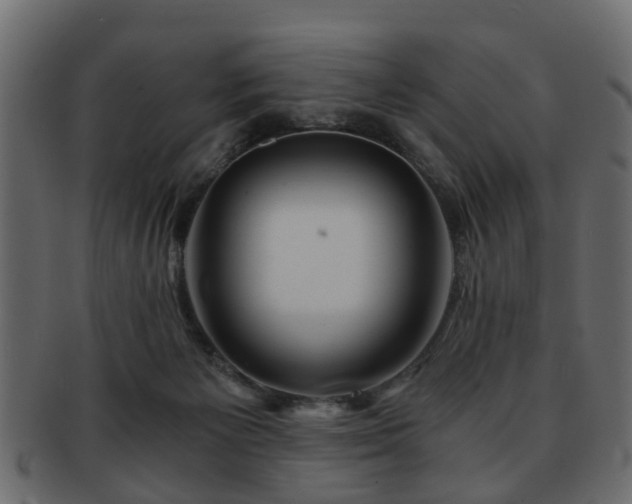 X0000093100125200709261238