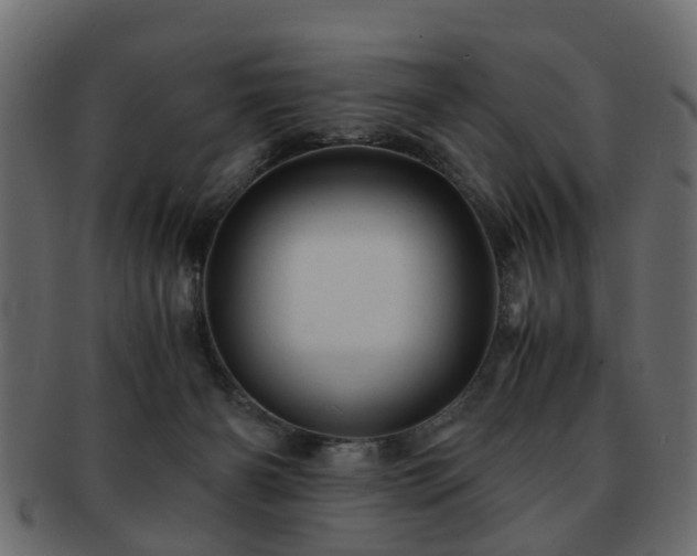 X0000093100126200709261238