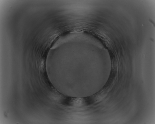 X0000093100127200709261238