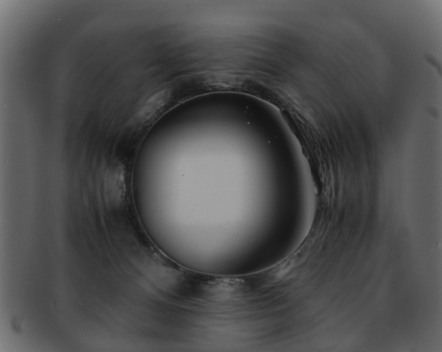 X0000093100128200709261238