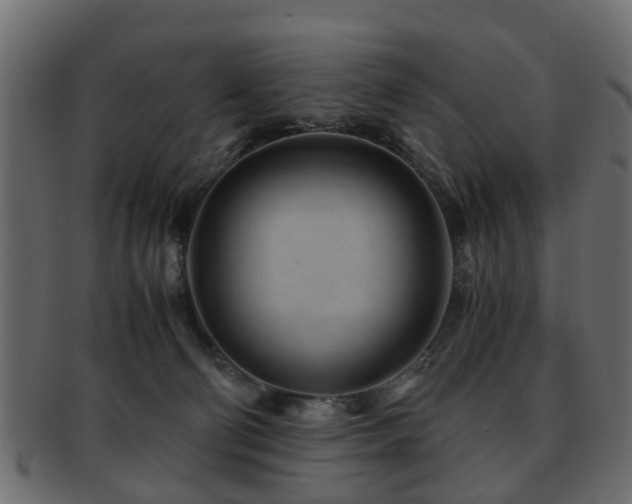 X0000093100130200709261238