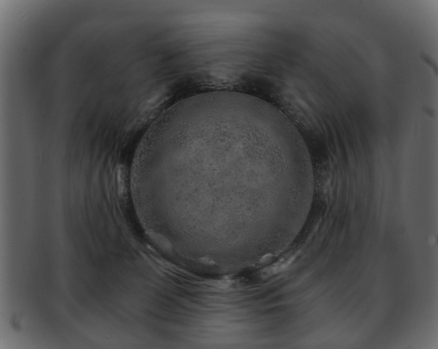 X0000093100131200709261238