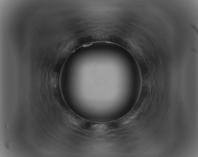 X0000093100133200709261238