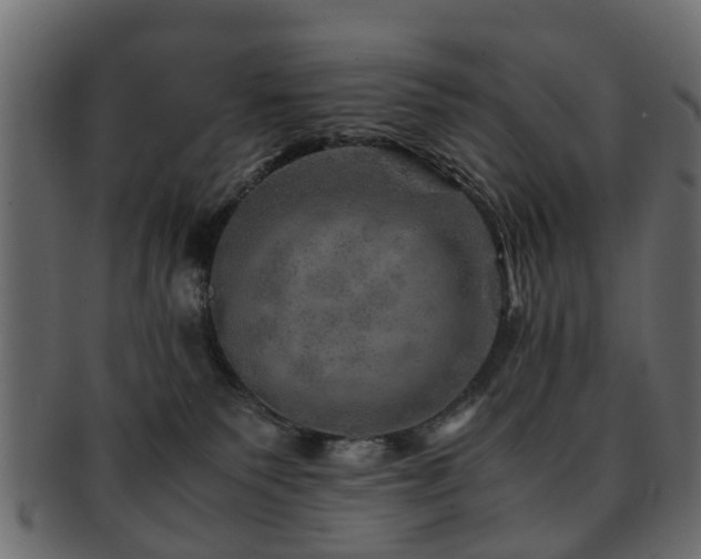X0000093100135200709261238