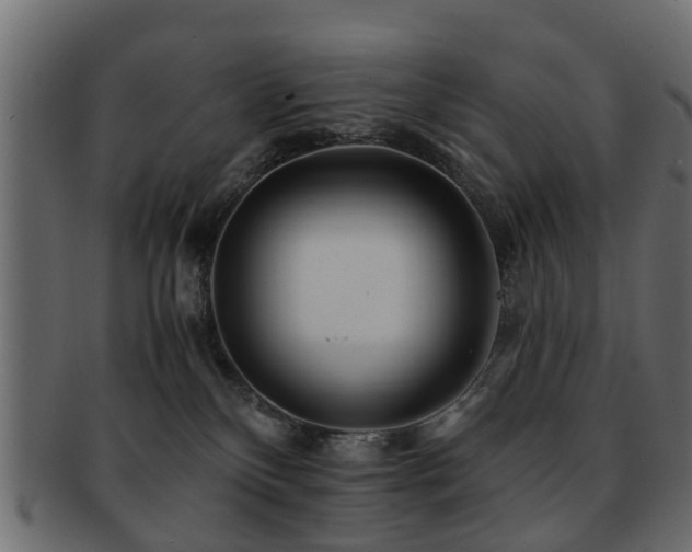 X0000093100136200709261238
