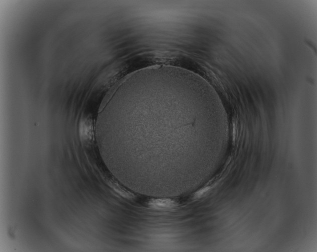 X0000093100137200709261238