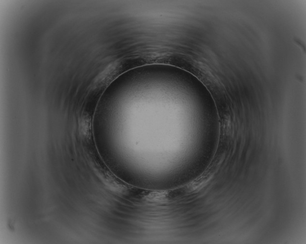 X0000093100138200709261238