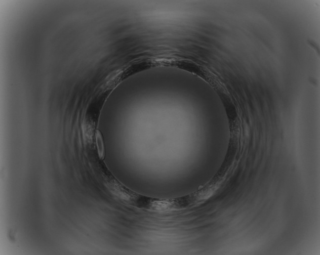 X0000093100139200709261238