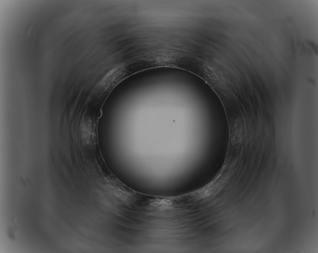 X0000093100140200709261238