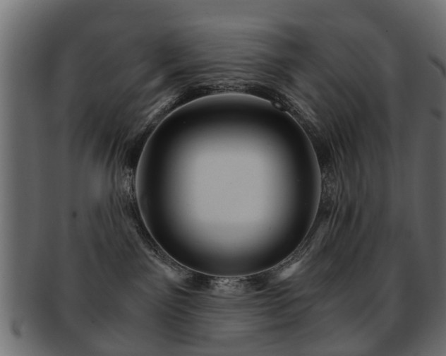 X0000093100141200709261238