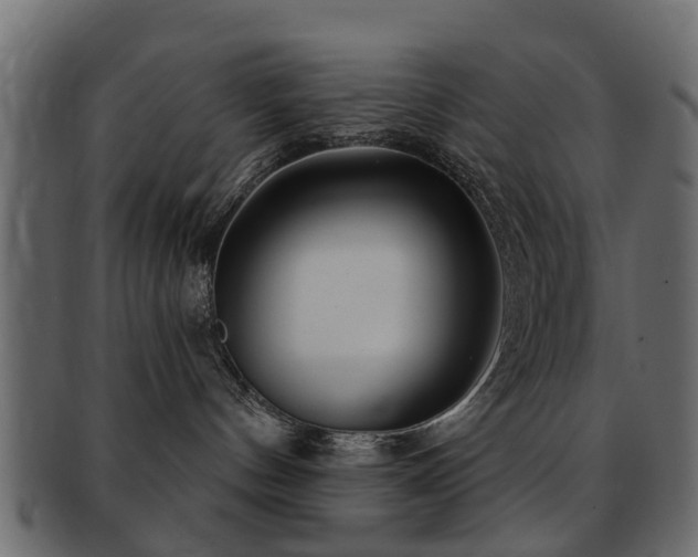 X0000093100144200709261238