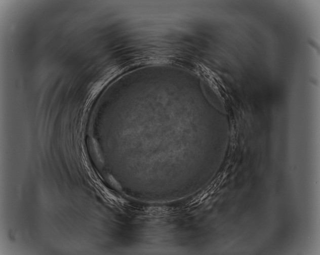X0000093100145200709261237