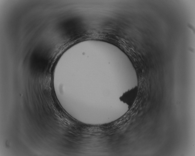 X0000093100146200709261237
