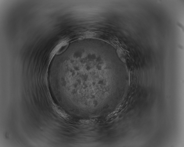 X0000093100147200709261237