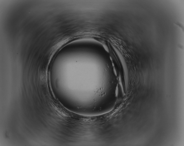 X0000093100148200709261237