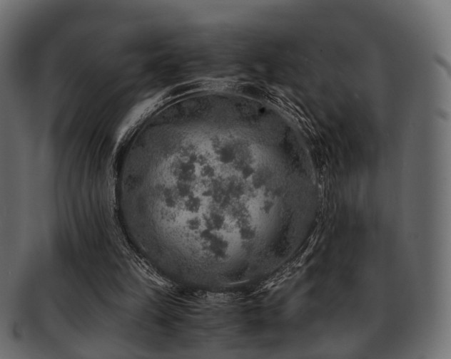 X0000093100149200709261237