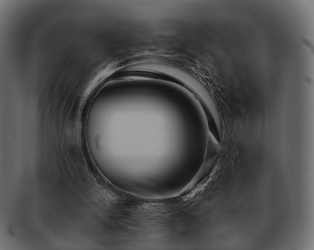 X0000093100150200709261237