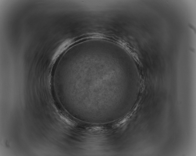 X0000093100151200709261237