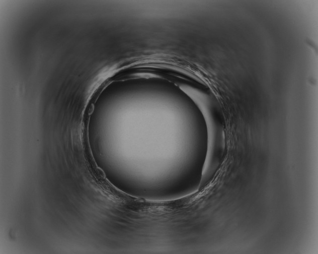 X0000093100152200709261237