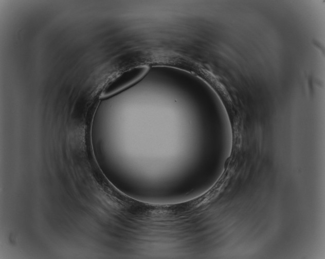 X0000093100154200709261237