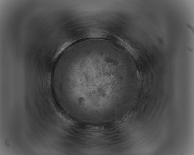 X0000093100155200709261237