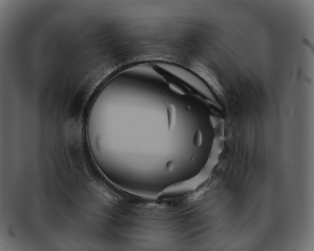 X0000093100156200709261237