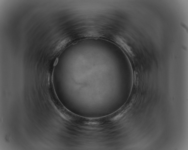 X0000093100157200709261237