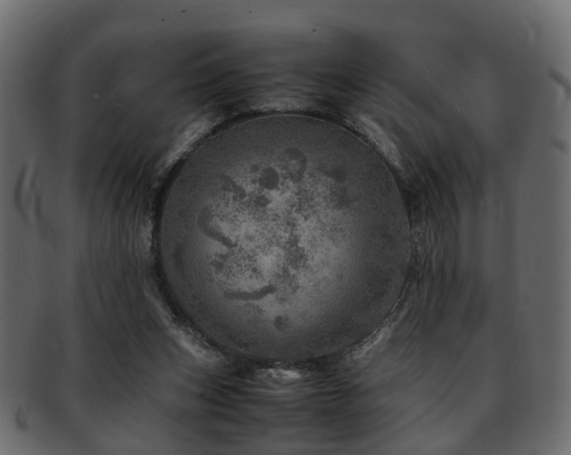 X0000093100159200709261237