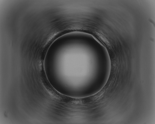 X0000093100160200709261237