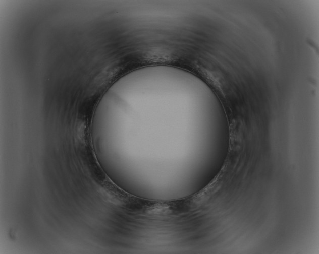 X0000093100162200709261238