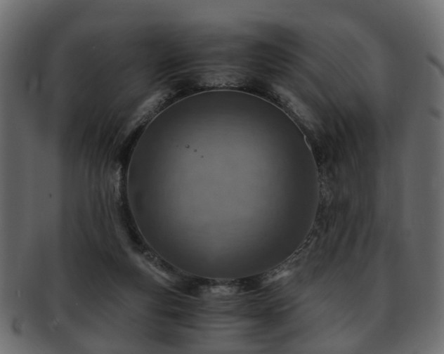 X0000093100163200709261238