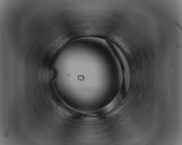 X0000093100164200709261238