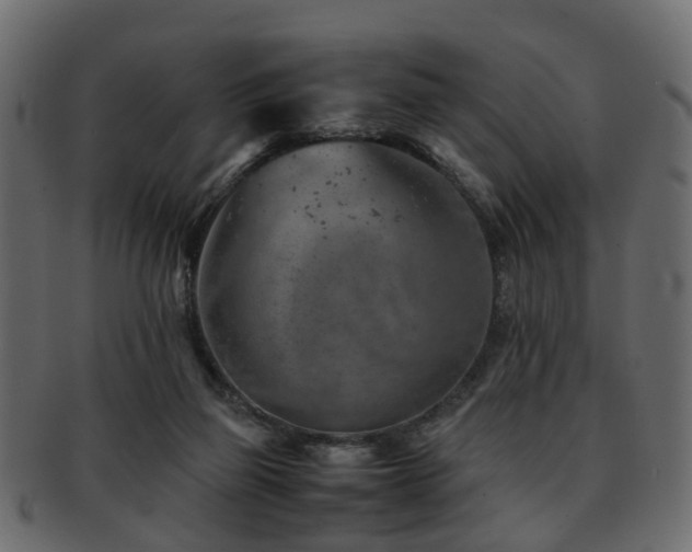 X0000093100165200709261238