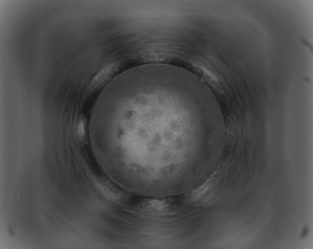X0000093100166200709261238