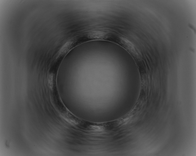 X0000093100167200709261238
