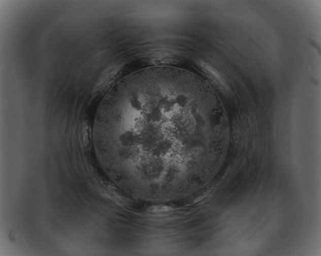 X0000093100169200709261238