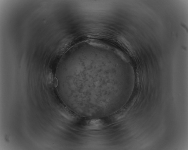 X0000093100173200709261238